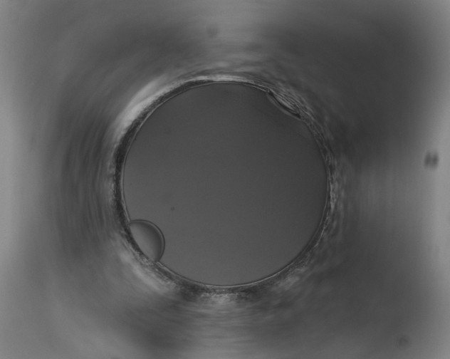 X0000114720295200911121738