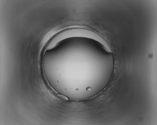 X0000114720296200911121738