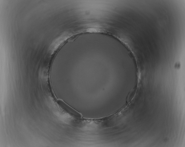 X0000114720297200911121738