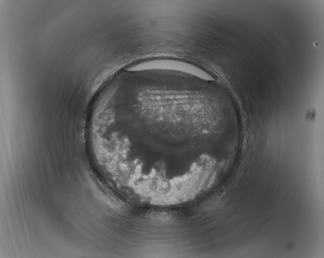 X0000114720299200911121738