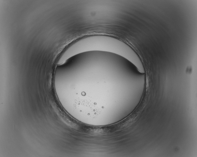 X0000114720301200911121738