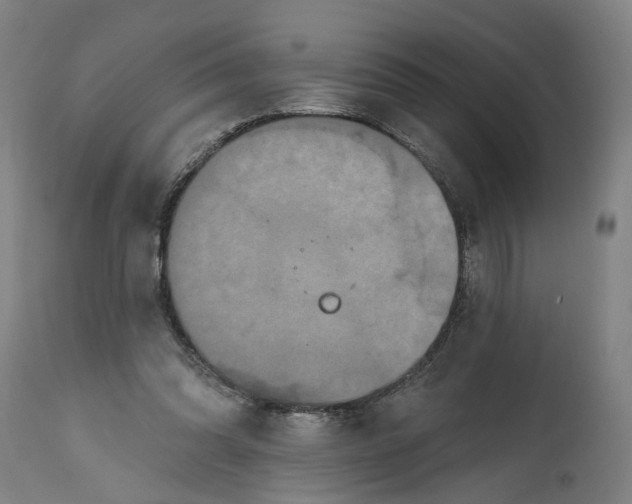 X0000114720302200911121738