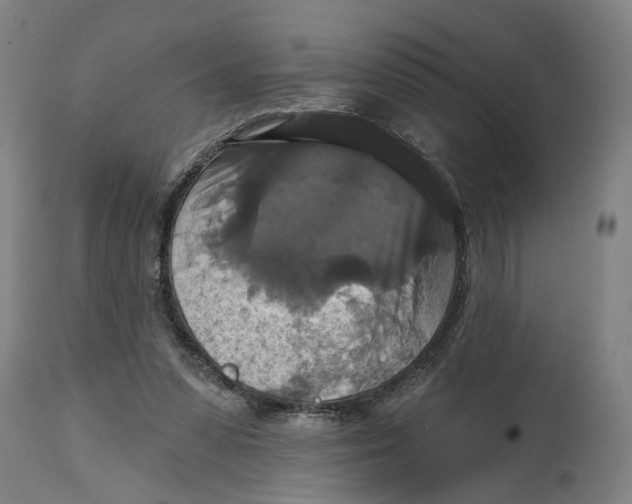 X0000114720303200911121738