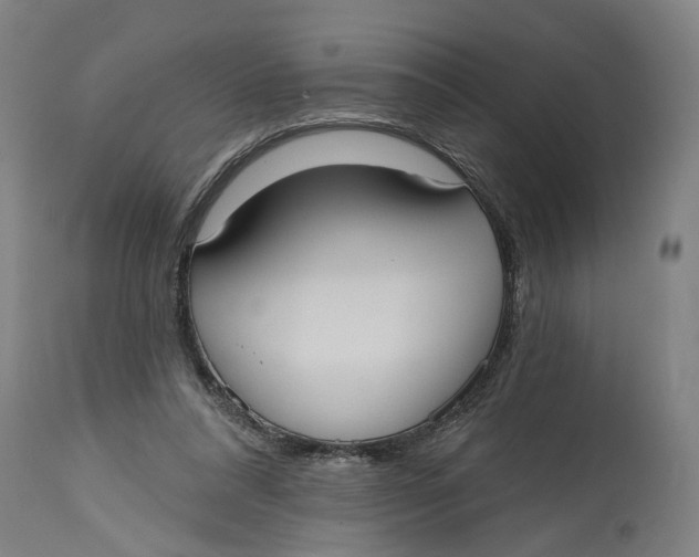 X0000114720304200911121738