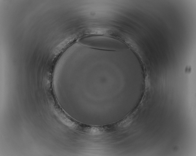 X0000114720305200911121738