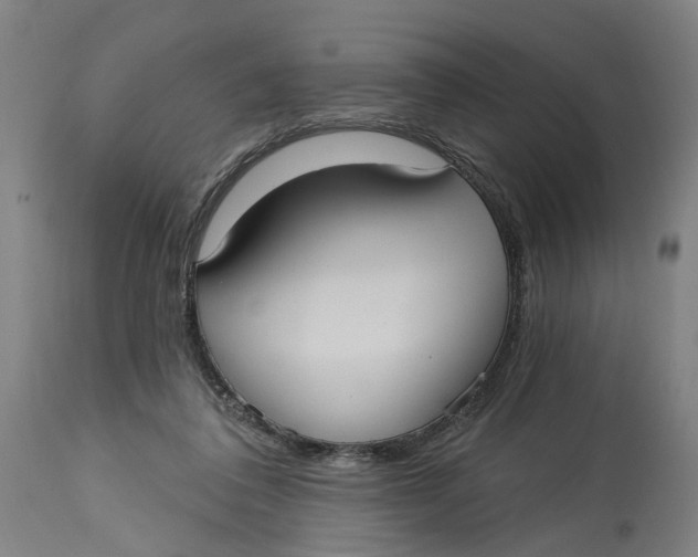 X0000114720308200911121738