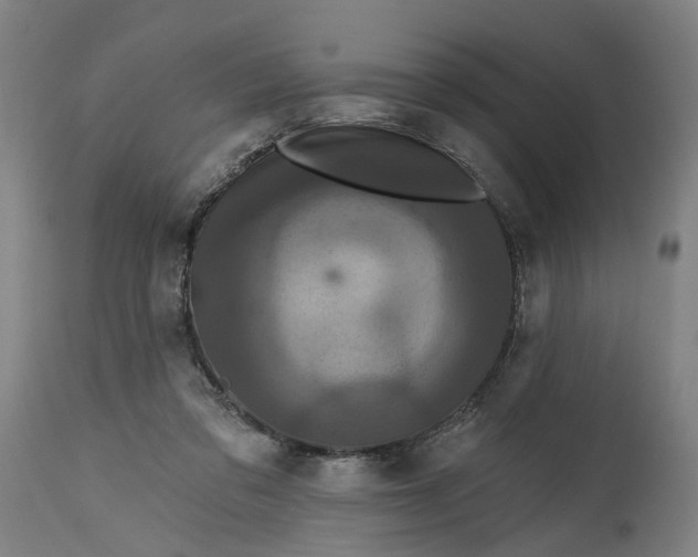 X0000114720309200911121738