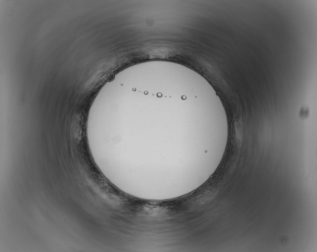 X0000114720311200911121738