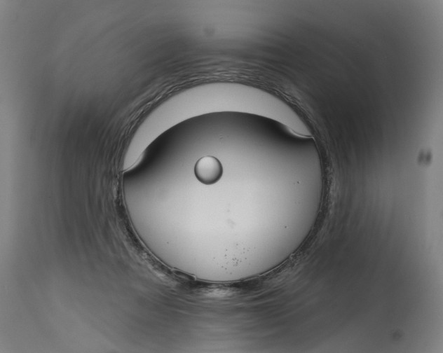 X0000114720313200911121738