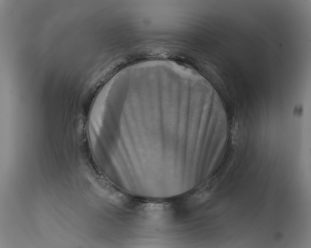 X0000114720314200911121738