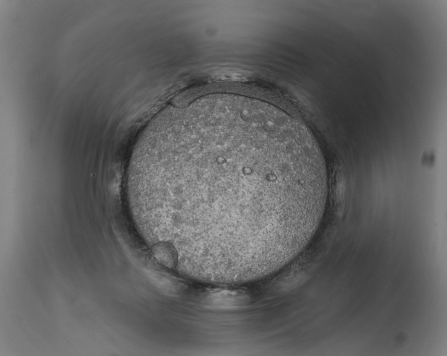 X0000114720315200911121738