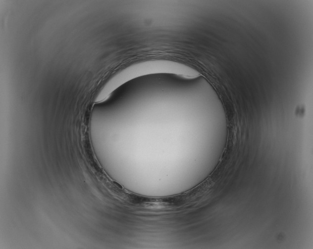 X0000114720316200911121738