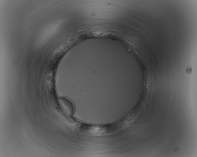 X0000114720319200911121738