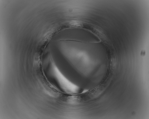 X0000114720320200911121738