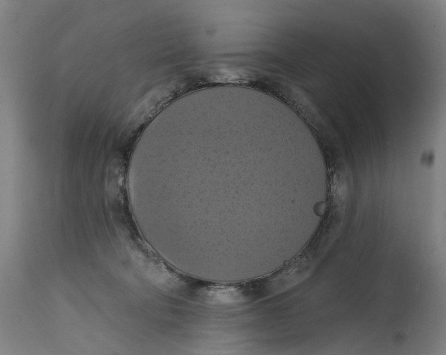 X0000114720322200911121738