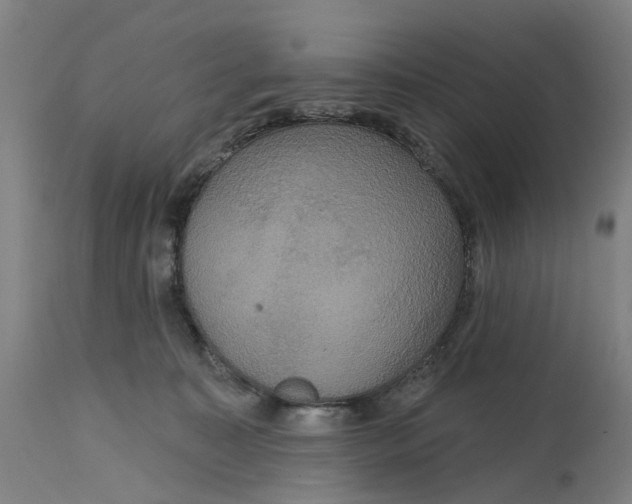 X0000114720323200911121738