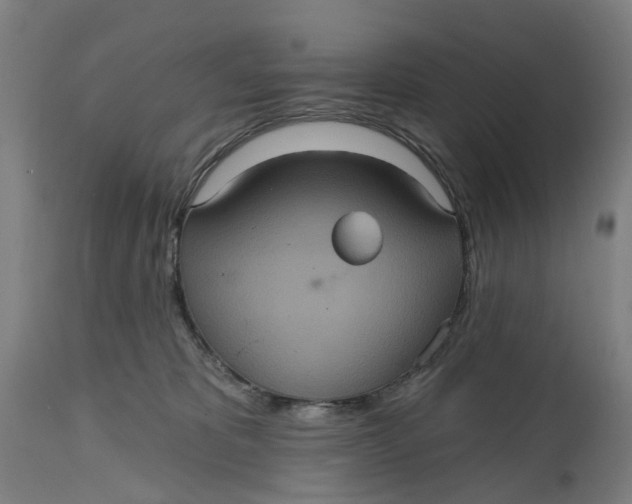 X0000114720325200911121738