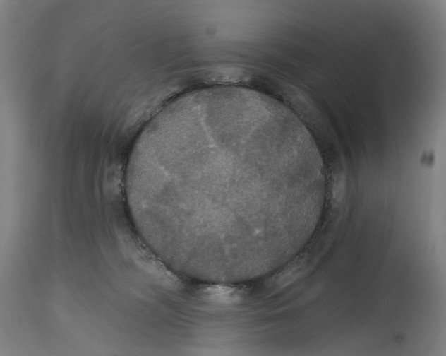 X0000114720326200911121738