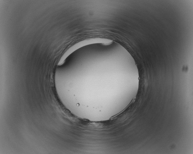 X0000114720328200911121738