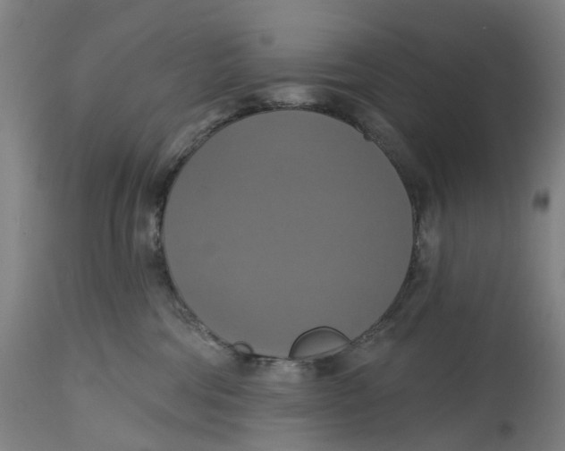 X0000114720330200911121738