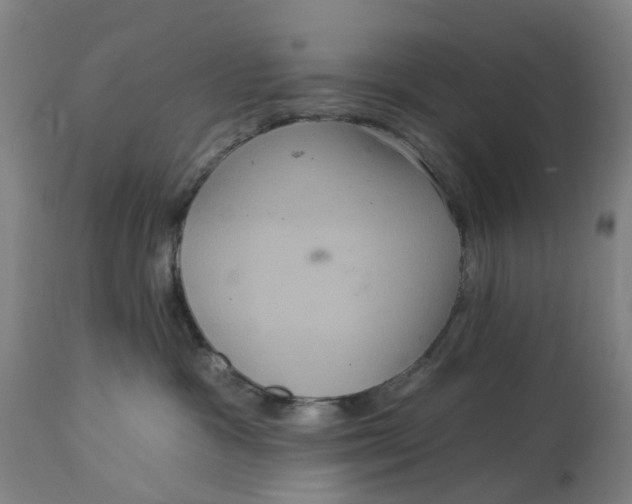 X0000114720333200911121738