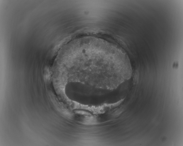 X0000114720335200911121738