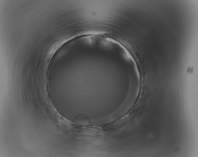 X0000114720337200911121737