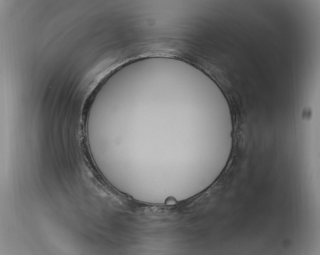 X0000114720338200911121737