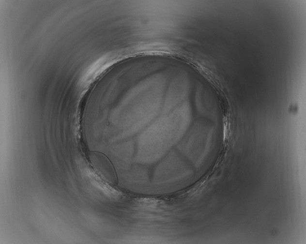 X0000114720339200911121737