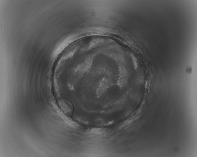 X0000114720341200911121737