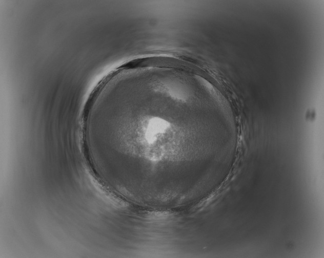 X0000114720342200911121737