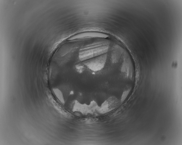 X0000114720345200911121737