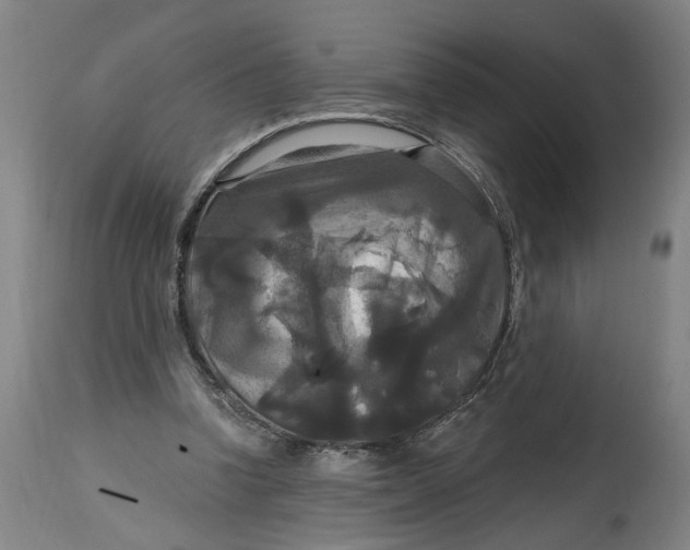 X0000114720346200911121737