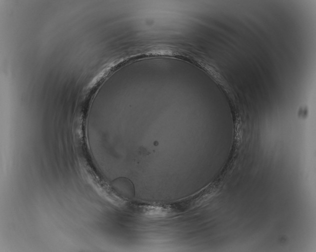 X0000114720347200911121737