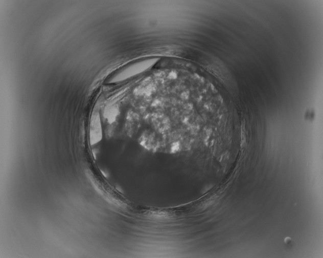 X0000114720349200911121737