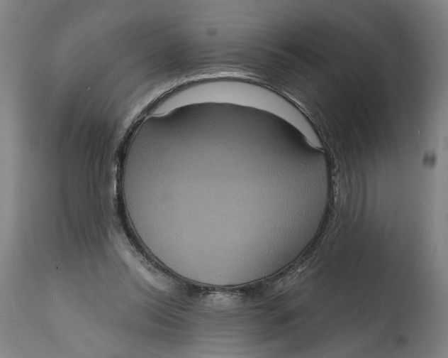 X0000114720350200911121737