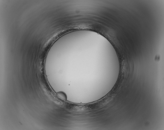 X0000114720351200911121737