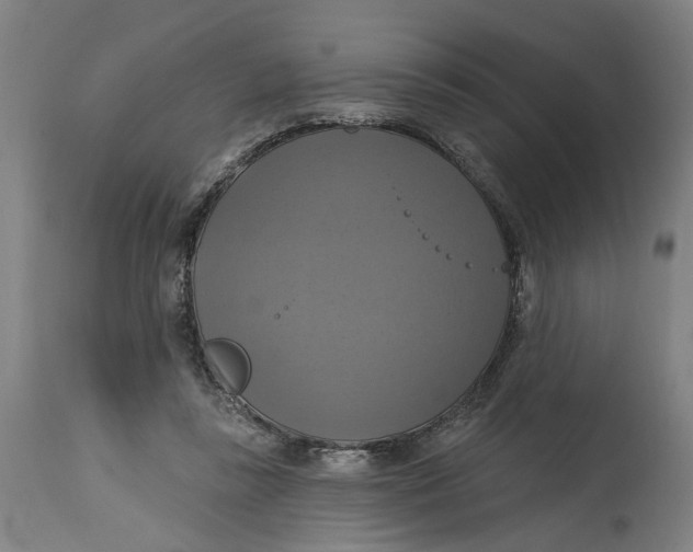 X0000114720355200911121737