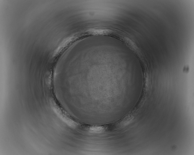 X0000114720357200911121737