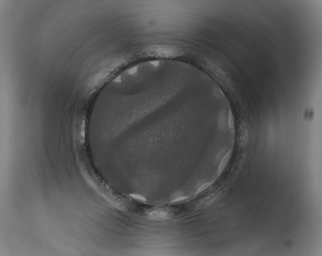 X0000114720358200911121737