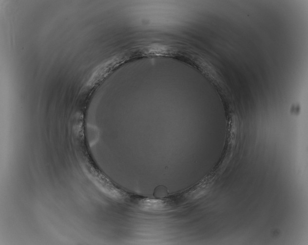 X0000114720361200911121737