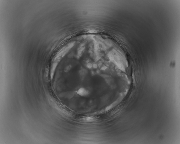 X0000114720365200911121737