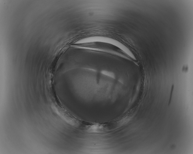 X0000114720366200911121737