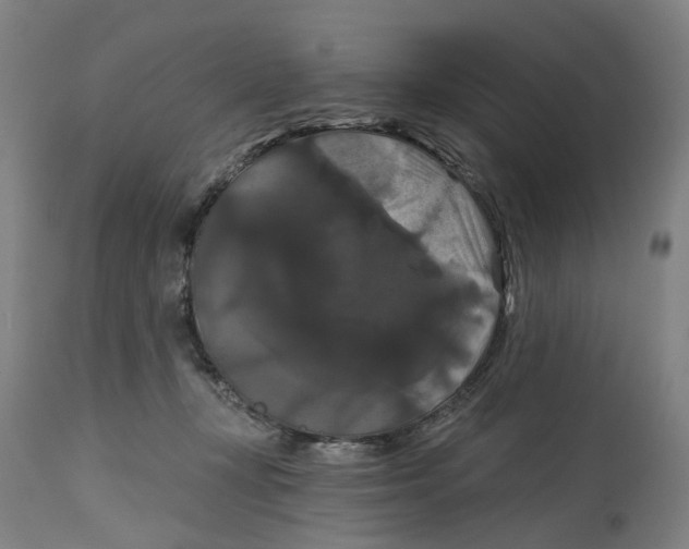 X0000114720367200911121737