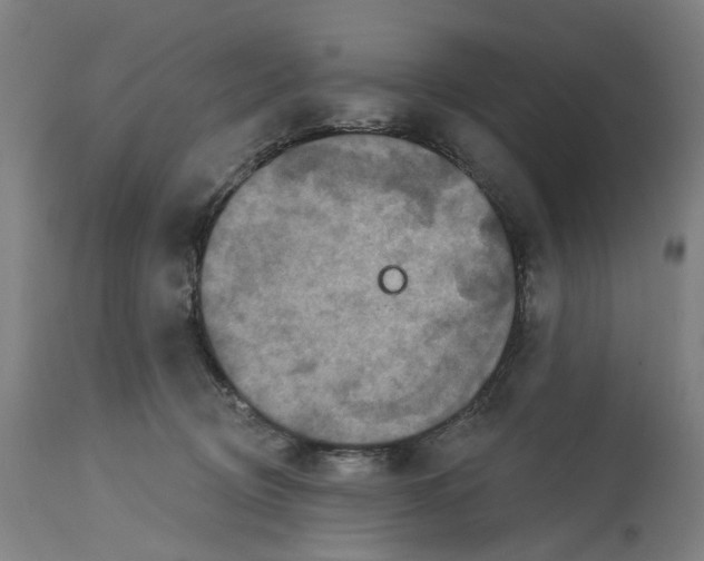 X0000114720370200911121738