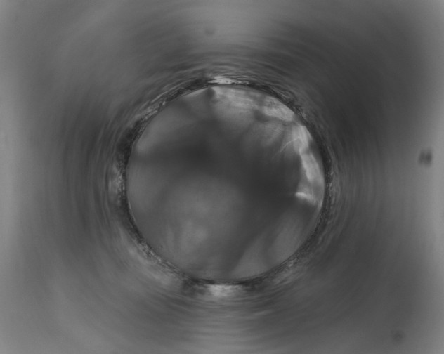 X0000114720371200911121738