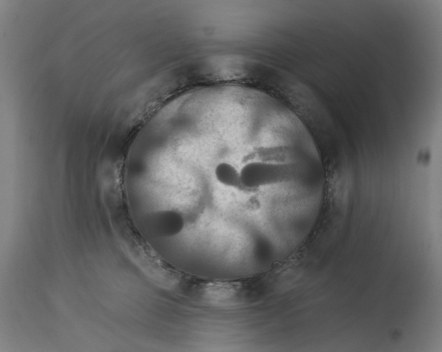 X0000114720373200911121738