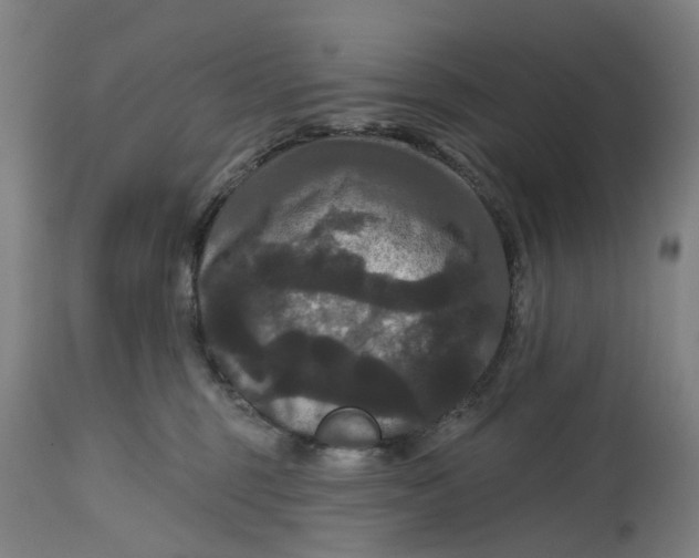 X0000114720375200911121738