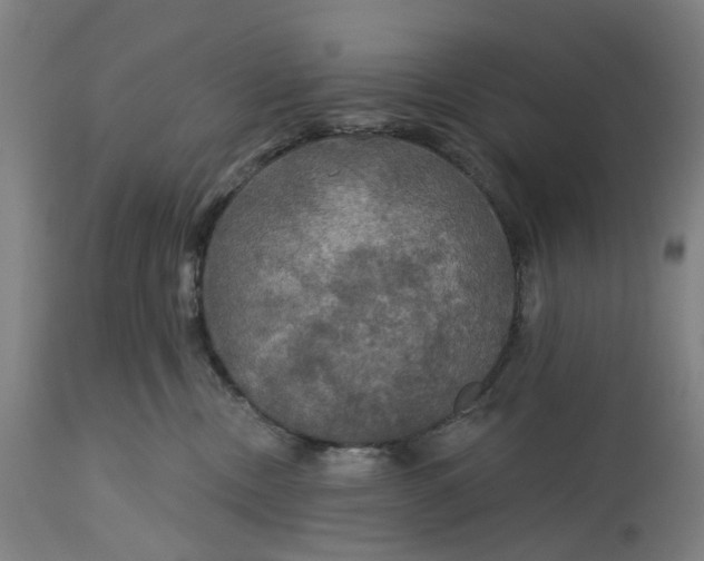 X0000114720378200911121738