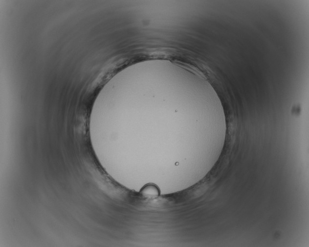 X0000114720379200911121738